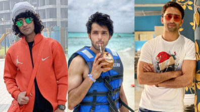 The Instagram Following Of Sumedh Mudgalkar, Parth Samthaan, And Shaheer Sheikh Will Leave You Stunned!