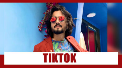 TikTok has serious content issues: Bhuvan Bam