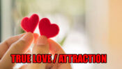True Love OR Attraction: 8 Ways To Tell The Difference