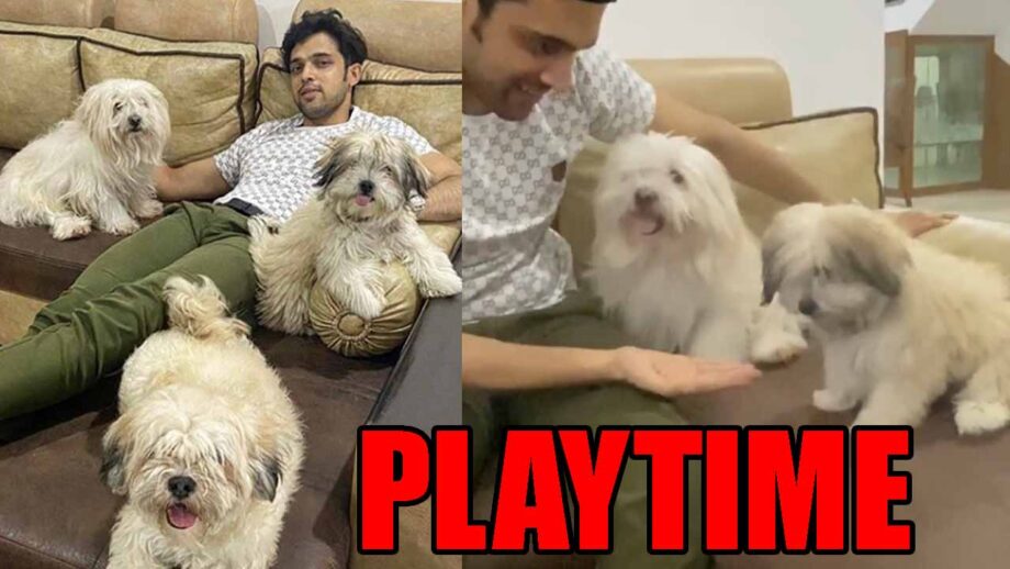 WACTH VIDEO: Kasautii Zindagii Kay actor Parth Samthaan's playtime in lockdown
