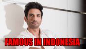 Why is Sushant Singh Rajput so famous in Indonesia?
