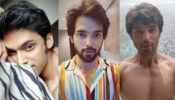 6 times Parth Samthaan looked hot in selfie