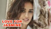 ADORABLE: Disha Patani dedicates a post to her cat ‘Jasmine’, adds a special heart emoji to show love