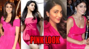 All the times Ileana D’Cruz, Asin Thottumkal, Shruti Haasan, Shriya Saran slayed in PINK look
