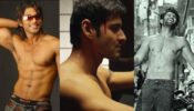 Allu Arjun, Mahesh Babu And Vijay Deverakonda: Times When These Handsome Hunks Go Aww With Their Shirtless Charm