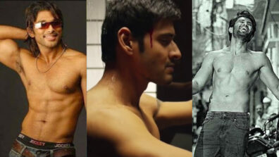 Allu Arjun, Mahesh Babu And Vijay Deverakonda: Times When These Handsome Hunks Go Aww With Their Shirtless Charm