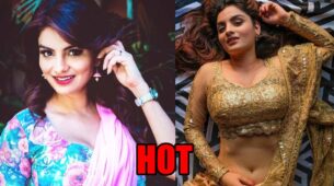 Anveshi Jain Looks Super Hot In This Indian Avatar!