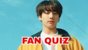 Are you a die-hard fan of Jungkook?Take a test