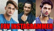 Asim Riaz VS Sumedh Mudgalkar VS Parth Samthaan: Your Favourite Celebrity INSTAGRAMMER?