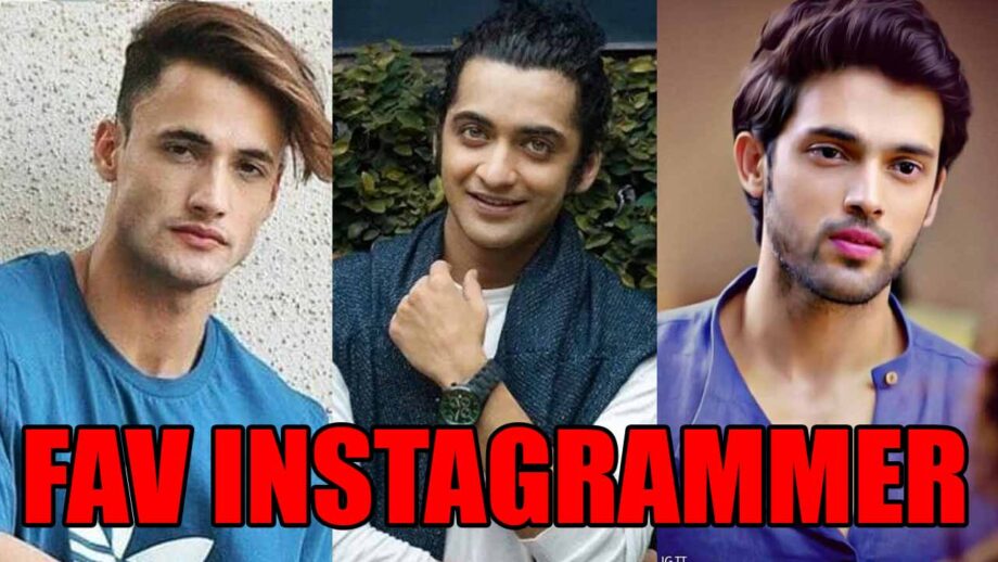 Asim Riaz VS Sumedh Mudgalkar VS Parth Samthaan: Your Favourite Celebrity INSTAGRAMMER?