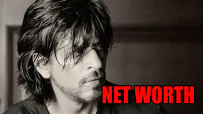 Badshah Shah Rukh Khan’s Net Worth Will Stagger You