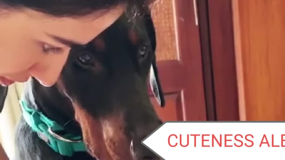 Cuteness Alert: Disha Patani shares adorable video with her pet