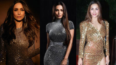 Dil Le Gayi Kudi Girl Malaika Arora’s Sequin Party Outfit Looks Extremely Fashionable