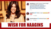 Ekta Kapoor’s Naag Panchami Wish For her Naagins; Karishma Tanna And Adaa Khan Comment
