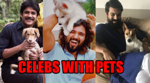 From Nagarjuna To Ram Charan: Top Tollywood Celebs And Their Pets