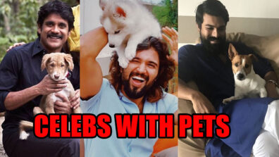 From Nagarjuna To Ram Charan: Top Tollywood Celebs And Their Pets