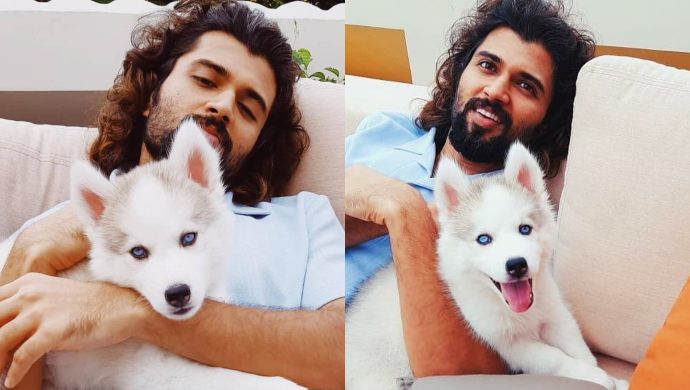 From Nagarjuna To Ram Charan: Top Tollywood Celebs And Their Pets - 1