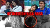 From Upen Patel-Karishma Tanna To Armaan Kohli-Tanishaa Mukherjee: 10 Contestants Who Got Intimate On Bigg Boss Show