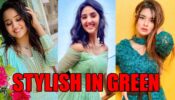 Go Green! Ashi Singh, Ashnoor Kaur And Avneet Kaur’s Stylish Ways To Wear Green