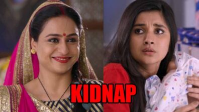 Guddan Tumse Na Ho Payega spoiler alert: Ganga to KIDNAP Guddan’s baby