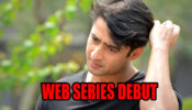 Here’s Why Yeh Rishtey Hai Pyaar Ke Actor Shaheer Sheikh Deserves A Web Series Debut!