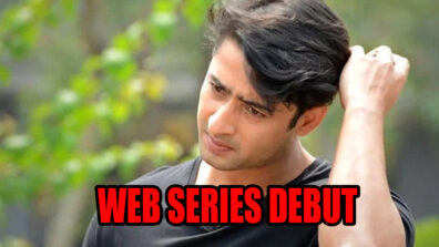 Here’s Why Yeh Rishtey Hai Pyaar Ke Actor Shaheer Sheikh Deserves A Web Series Debut!