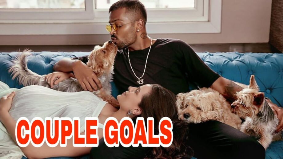 IN PHOTO: Hardik Pandya shares an adorable photo of himself with pregnant wife Natasa Stankovic and his dogs, calls them his 'Family'