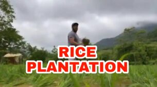 IN VIDEO: Salman Khan spotted doing rice plantation, check out now