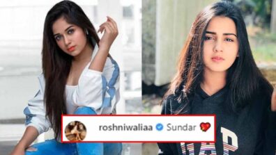 Jannat Zubair shares hot picture, Roshni Walia comments ‘sundar’