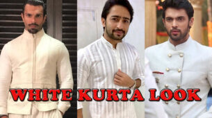 Karan Singh Grover, Parth Samthaan, Shaheer Sheikh: Who Styled In White Kurta Best?