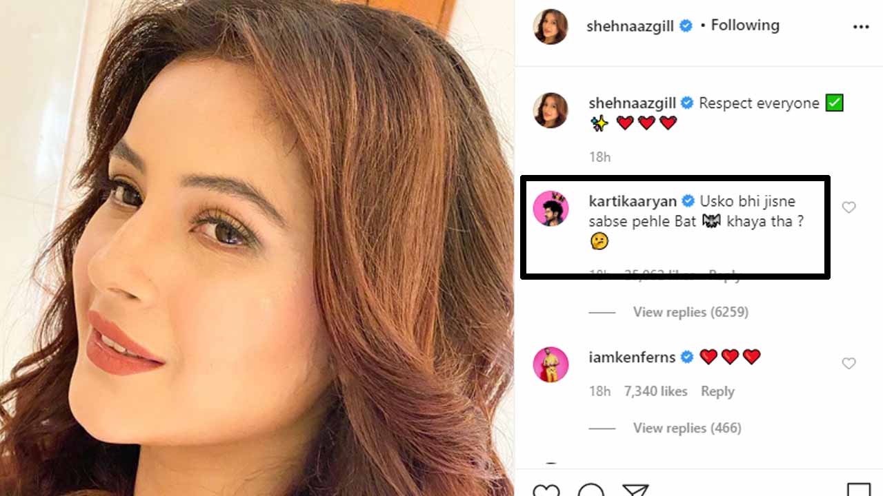 Kartik Aaryan’s funny comment on Shehnaaz Gill’s post wins the internet 1