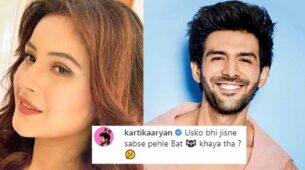 Kartik Aaryan’s funny comment on Shehnaaz Gill’s post wins the internet