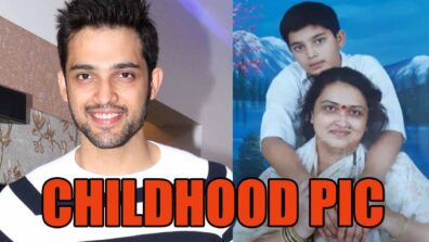 Kasautii Zindagii Kay fame Parth Samthaan shares his adorable childhood picture, check here