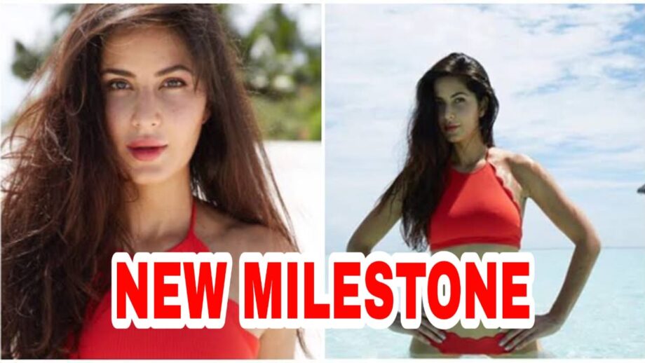 Katrina Kaif completes a new milestone, find out what