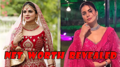 Kundali Bhagya Actress Shraddha Arya’s Biography, Education And Net Worth REVEALED