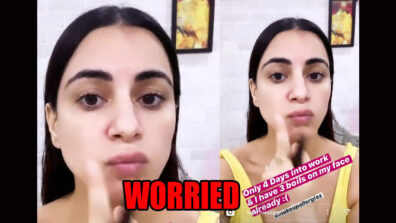 Kundali Bhagya fame Shraddha Arya is worried, find out why