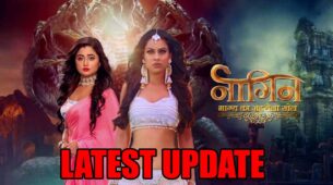 Naagin 4 latest update REVEALED