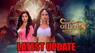 Naagin 4 latest update REVEALED