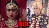 Naagin 4 spoiler alert: Brinda to KILL Hardik
