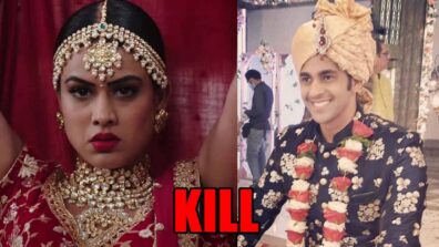 Naagin 4 spoiler alert: Brinda to KILL Hardik