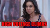 Naagin 4 spoiler alert: High voltage climax, Brinda to on a mission to kill the culprits