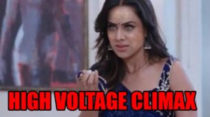 Naagin 4 spoiler alert: High voltage climax, Brinda to on a mission to kill the culprits