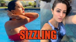 Naagin stars Nia Sharma And Anita Hassanandani Looked Sizzling In Water-Baby Avatar