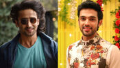 Parth Samthaan And Shaheer Sheikh’s Best SMILING Moments