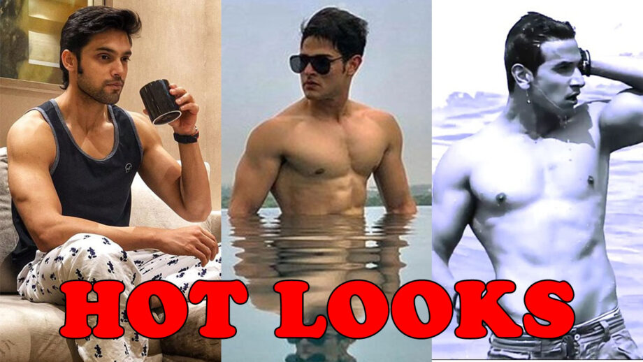 Parth Samthaan, Prince Narula, Priyank Sharma: The HOTTEST Celebrity Body Look