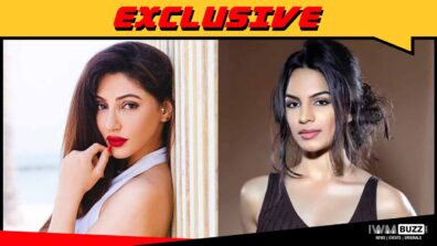 Reyhna Malhotra REPLACES Shikha Singh in Kumkum Bhagya?