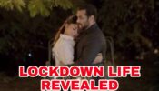 Salman Khan and Jacqueline Fernandez’s LOCKDOWN life REVEALED