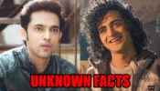 See What You Don’t Know About Parth Samthaan And Sumedh Mudgalkar