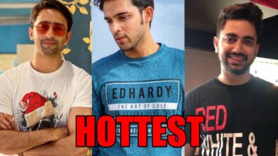 Shaheer Sheikh VS Parth Samthaan VS Zain Imam: Who’s HOTTEST In Graphic Tee?