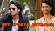 Yeh Rishtey Hai Pyaar Ke Actor Shaheer Sheikh’s Biography, Education And Net Worth REVEALED